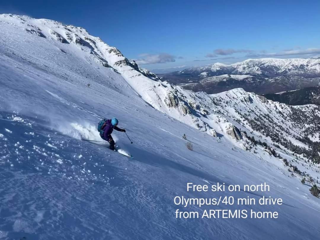 Artemis Home Pétra Buitenkant foto